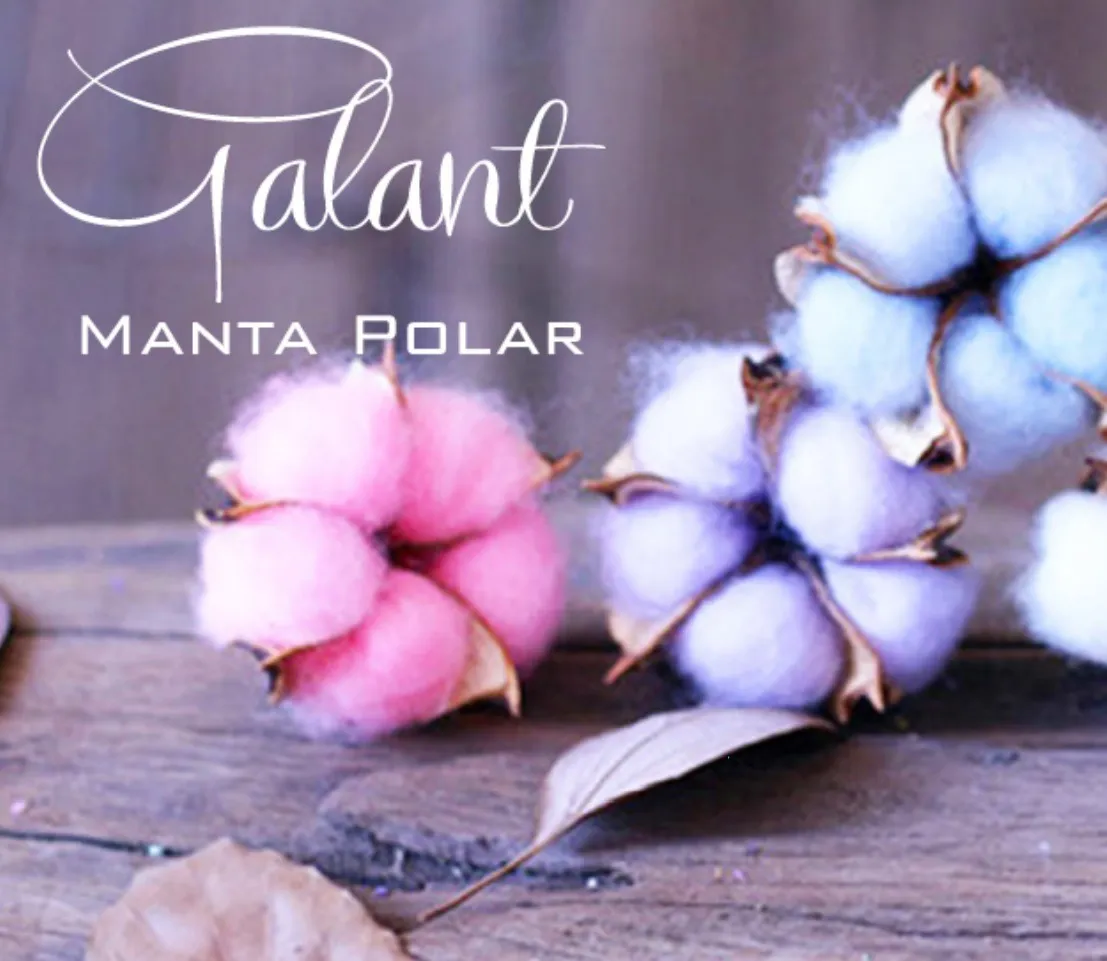 Frazada Manta Polar 1 1/2 Twin Pierre Balmain Acolchado 240 G - Image 3