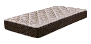 Colchón De Espuma Cannon Espuma Exclusive 1 1/2 Plaza 100cm X 190xm