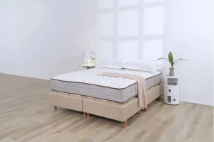 Colchon 1 1/2 Plazas La Cardeuse Dofuan 100x200 Resortes Beige